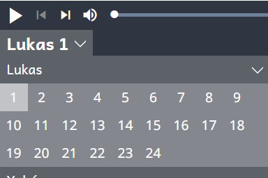 Bible Audio Player